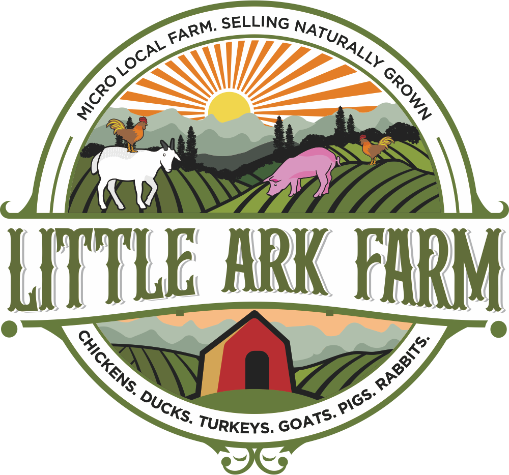 Arkansas farm, vegetables, chickens, pigs, goats, ducks, turkeys, eggs and more